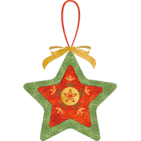 Embellished Star Ornament