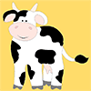 Cows Cows