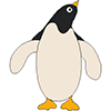 Penguins Penguins